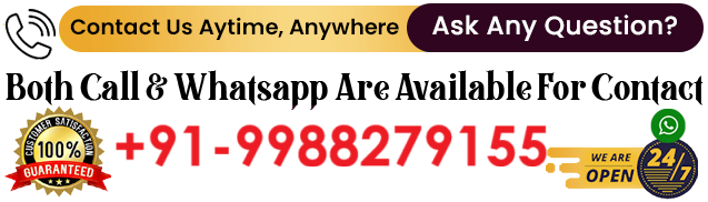 Astrologer Rajswami Ji