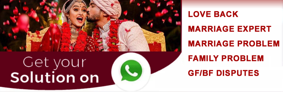 Astrologer Rajswami Ji